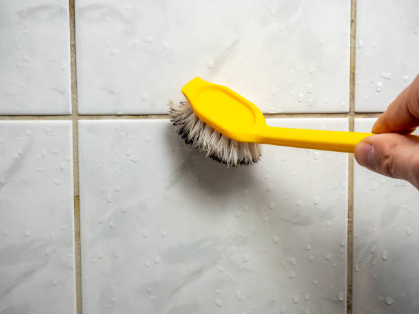 Best Office Mold Removal Services  in Redwood City, CA