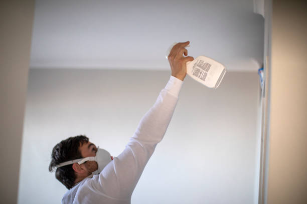 Best Attic Mold Removal  in Redwood City, CA