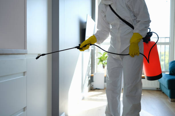 Best Office Mold Removal Services  in Redwood City, CA
