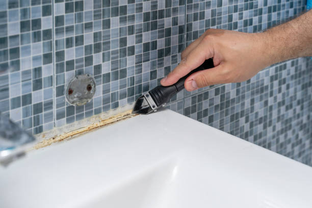 Best Mold Removal Company Near Me  in Redwood City, CA