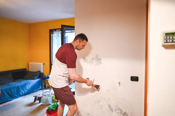 Best Mold Removal Company Near Me  in Redwood City, CA