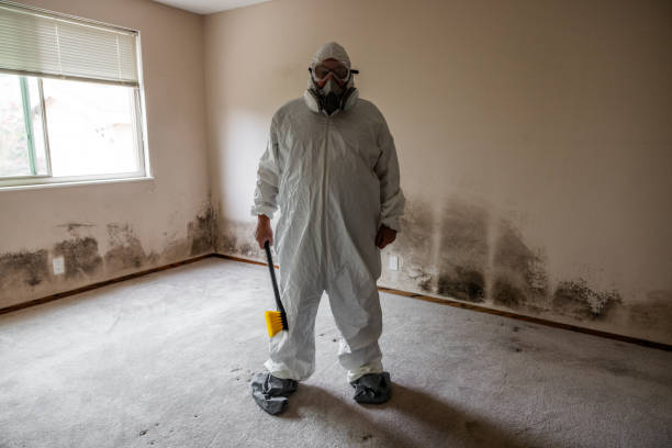 Best Residential Mold Removal  in Redwood City, CA