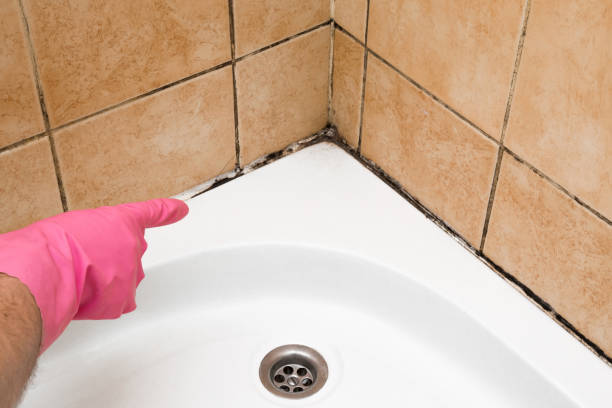 Best Mold Testing  in Redwood City, CA